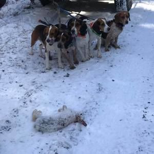 Meet your Posher, Steve